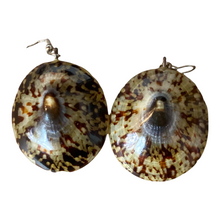 Load image into Gallery viewer, Vintage Phillippine Natural Limpet Earrings