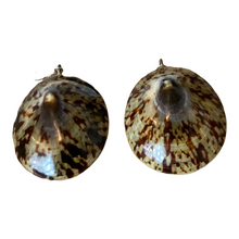 Load image into Gallery viewer, Vintage Phillippine Natural Limpet Earrings