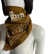 Load image into Gallery viewer, Vintage Carhartt Bandanna Scarf