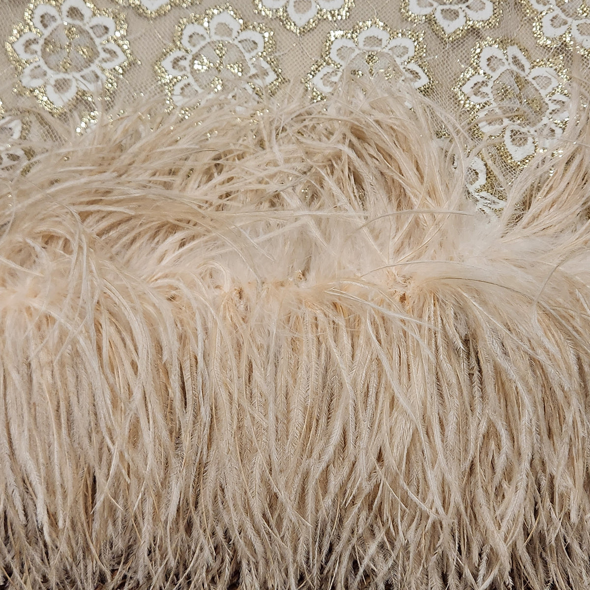 Lace Cocktail