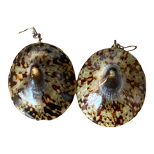 Load image into Gallery viewer, Vintage Phillippine Natural Limpet Earrings
