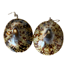 Load image into Gallery viewer, Vintage Phillippine Natural Limpet Earrings