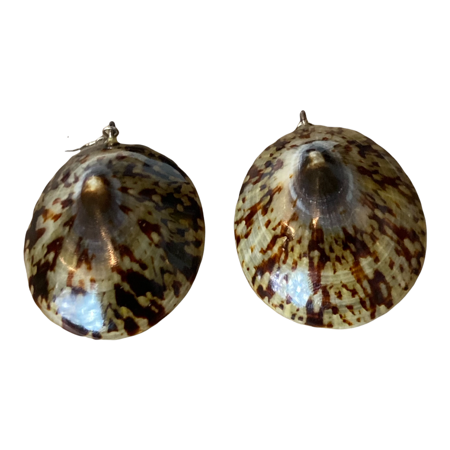 Vintage Phillippine Natural Limpet Earrings