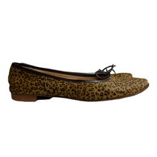Load image into Gallery viewer, Manolo Blahnik Calf Hair Leopard Print Flats
