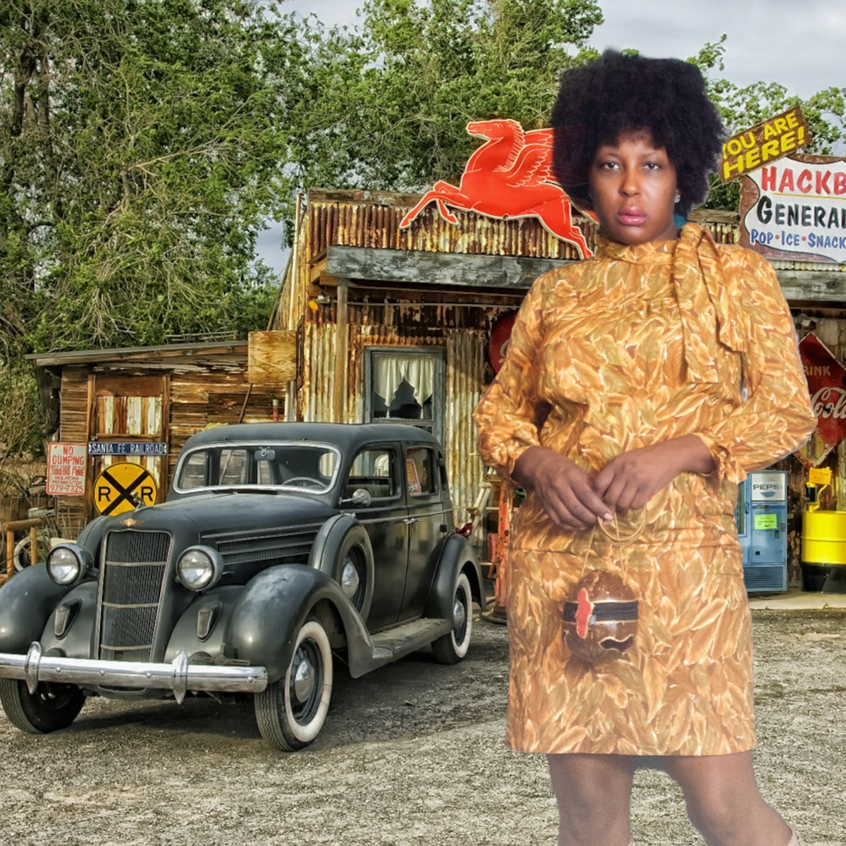 60's _ Vintage_Dresses_ LGV